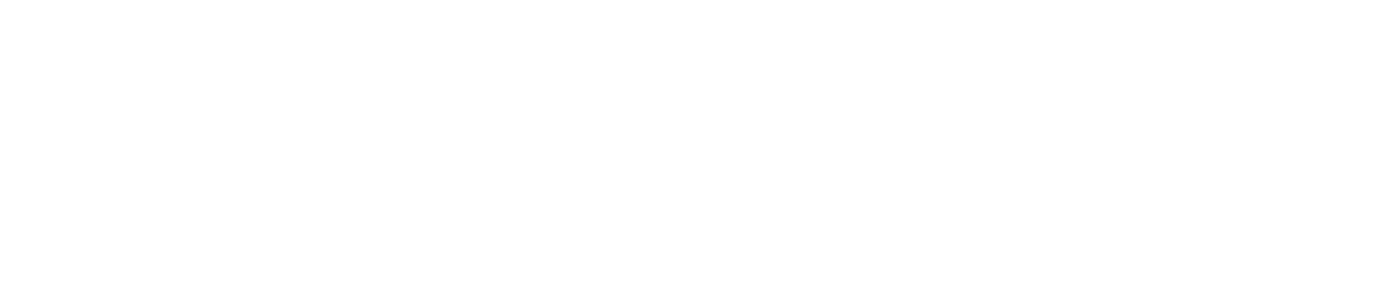 The Lash & Brow Studio